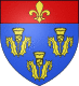 Coat of arms of Pithiviers