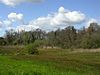 Newbourne Springs