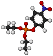 Paraoxon-3D-balls.png