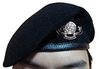 SJAS Adult Beret.jpg