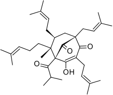 Hyperforin2DACS.svg