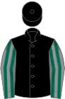 Black, dark green and grey striped sleeves