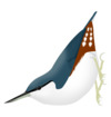 Sitta arctica png.png