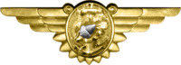 WWII Naval Flight Nurse Insignia.png