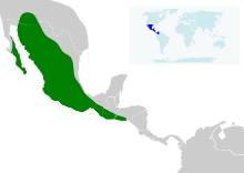 Leptonycteris yerbabuenae map.svg