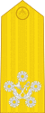 Admiral of the Fleet