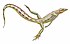 Spinoaequalis schultzei reconstruction flipped.jpg