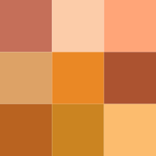 Color icon orange v2.svg