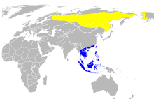 Distribution map for Phylloscopus borealis (pacific centered).svg