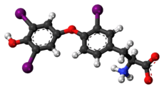 Ball-and-stick model of the reverse triiodothyronine molecule as a zwitterion