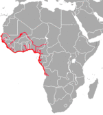African Manatee area.png