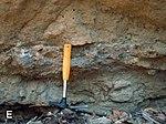 Tendaguru Formation - Indotrigonia africana Member.jpg