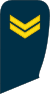 05-Lithuania Air Force-SGT.svg