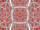 H3 535-1010 center ultrawide.png