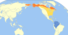 Catharus minimus map.svg