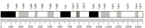 Chromosome 7 (mouse)