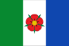 Flag of Concello de O Rosal