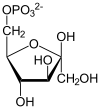 Beta-D-Fructose-6-phosphat2.svg