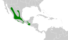 Empidonax affinis map.svg