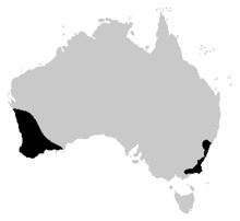 Heleioporus range.PNG