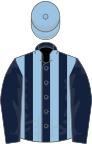 Dark blue and light blue stripes, dark blue sleeves, light blue cap