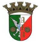 Associação de Futebol de Aveiro.png