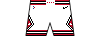 Kit shorts chicagobulls association.png