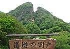 Sadokinzan-doyunowareto 01.JPG