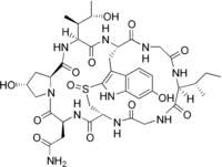 Gamma-amanitin structure.png