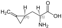 Hypoglycin