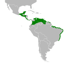 Mimus gilvus map.svg