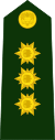 Colombia-Army-OF-7.svg