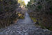 Chikurinji Kochi31s3872.jpg