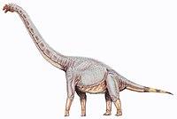 Sonorasaurus thompsoni.jpg
