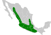 Melanotis caerulescens map.svg