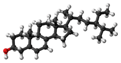 Ball-and-stick model of 7-dehydroepisterol