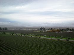 The view from Gloria Ferrer - Stierch.jpg