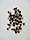 Pigeon peas dried.jpg