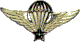 Vietnam Army Basic Parachutist Badge.gif