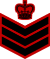 Calgary Police - Staff Sergeant.png