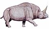 Elasmotherium sibiricum