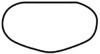 Nashville Superspeedway.png