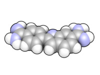 DAPI Space Fill.png
