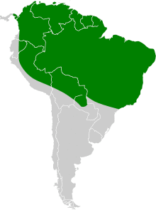 Pilherodius pileatus map.svg