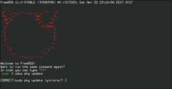 Screenshot of a sample tcsh session