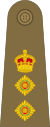 Colonel