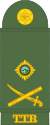 TaT-Army-OF-7.svg