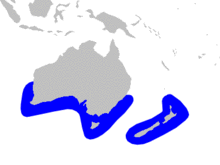 Cetacea range map Andrews Beaked Whale.png