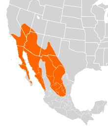 Peromyscus eremicus distribution.svg