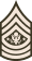 Sergeant Major of the Army
